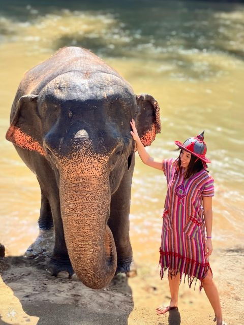 Chiang Mai : Elephant Care & Long Necked Village - Activity Details
