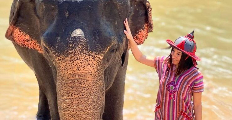 Chiang Mai : Elephant Care & Long Necked Village - Experience Highlights