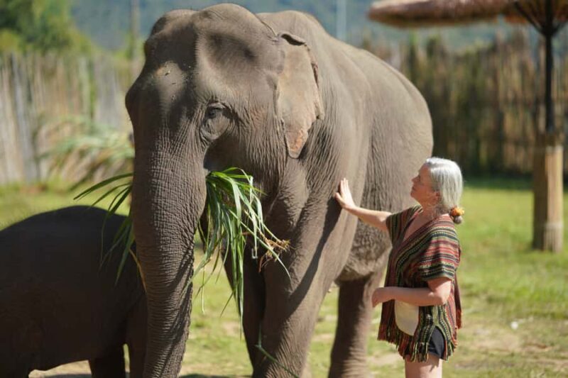 Chiang Mai: Elephant Care Mae Win&15 Ziplines-Tribe-Coffee - Good To Know