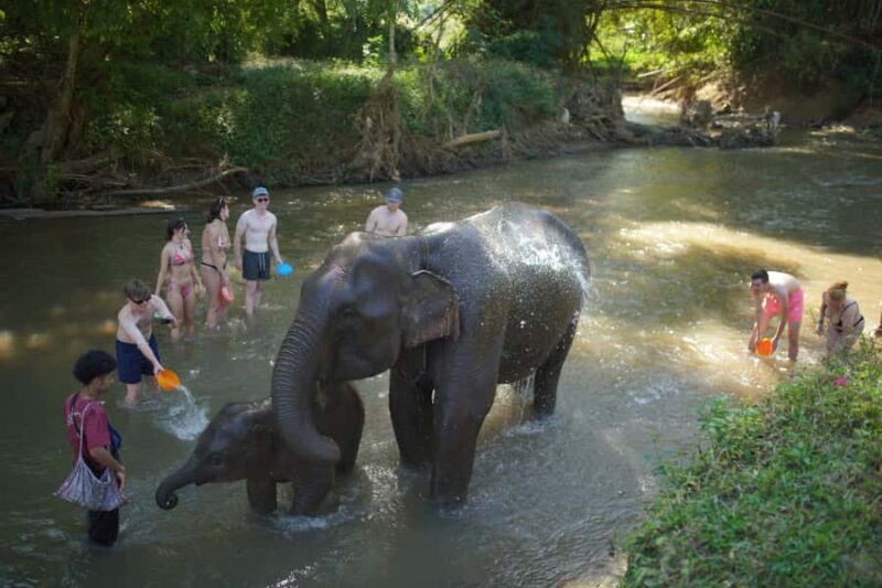 Chiang Mai: Elephant Care Mae Win&15 Ziplines-Tribe-Coffee - Detailed Breakdown of the Itinerary