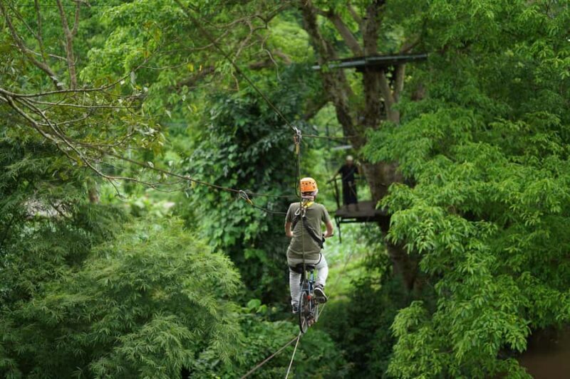 Chiang Mai: Elephant Care Mae Win&15 Ziplines-Tribe-Coffee - What to Expect at Each Part of the Tour