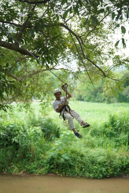 Chiang Mai: Elephant Care Mae Win&15 Ziplines-Tribe-Coffee - Insights from Reviews