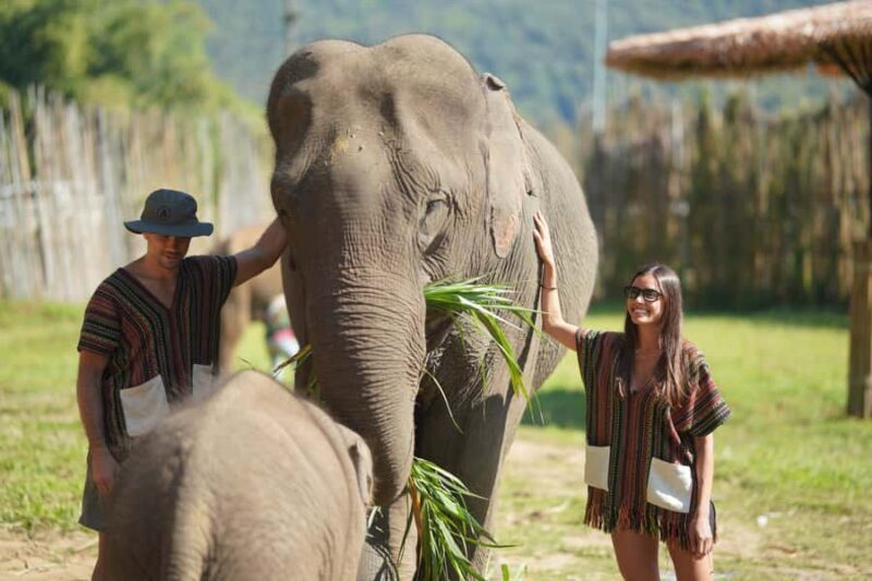 Chiang Mai: Elephant Care Mae Win&15 Ziplines-Tribe-Coffee - FAQ