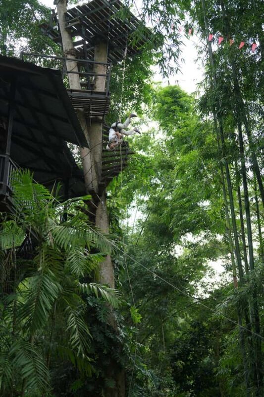 Chiang Mai: Elephant Care Mae Win&15 Ziplines-Tribe-Coffee - The Sum Up