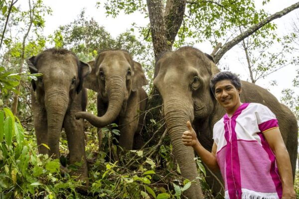 Chiang Mai: Elephant Dream Project Sanctuary - Half-Day - Ethical Elephant Treatment