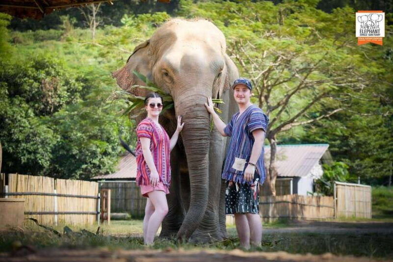 Chiang Mai Elephant Jungle Sanctuary &Mama Noi Cooking Class - Good To Know