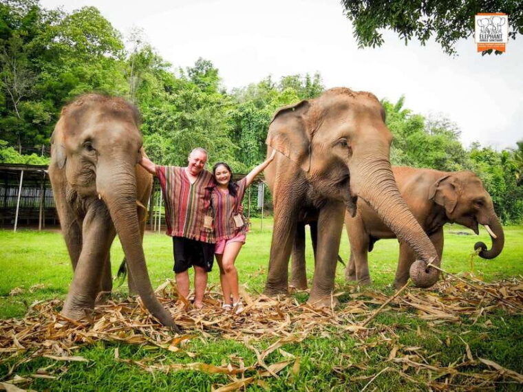 Chiang Mai Elephant Jungle Sanctuary &Mama Noi Cooking Class - Mud Spa Experience