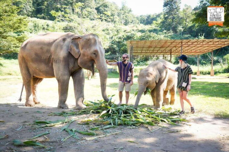 Chiang Mai Elephant Jungle Sanctuary &Mama Noi Cooking Class - Visiting the Local Market and Organic Garden