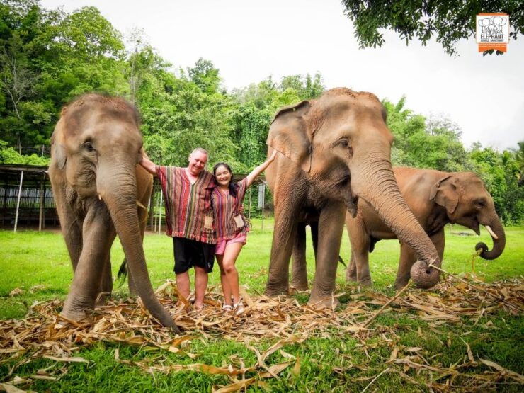 Chiang Mai: Elephant Jungle Sanctuary With Lunch & Transfer - Tour Details