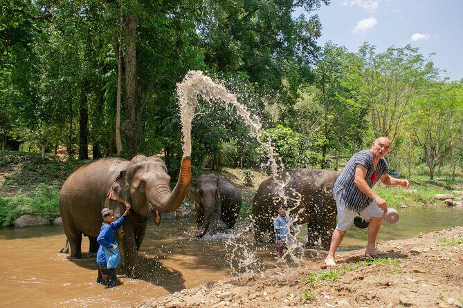 Chiang Mai Elephant Sanctuary and Sticky Waterfall Day Tour - How the Tour Unfolds