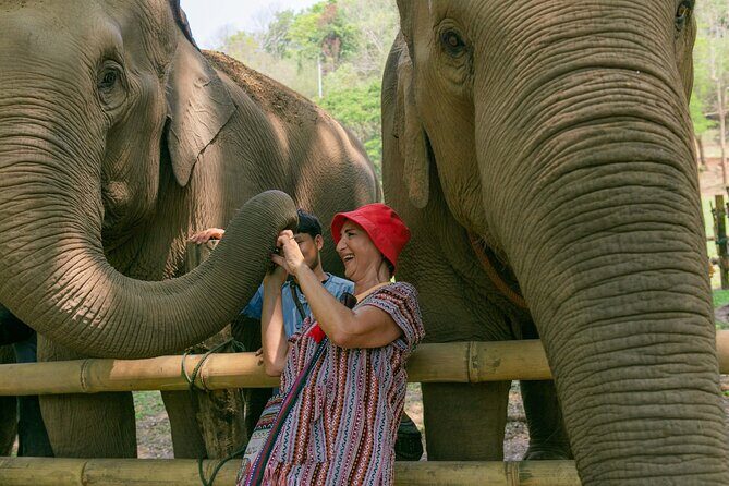 Chiang Mai Elephant Sanctuary and Sticky Waterfall Day Tour - Who Is This Tour Best For?