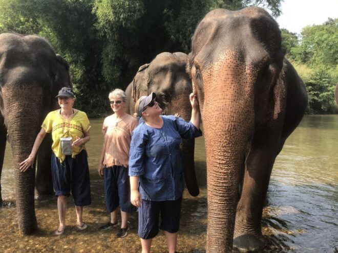 Chiang Mai: Elephant Sanctuary and Sticky Waterfall Tour - Review Summary