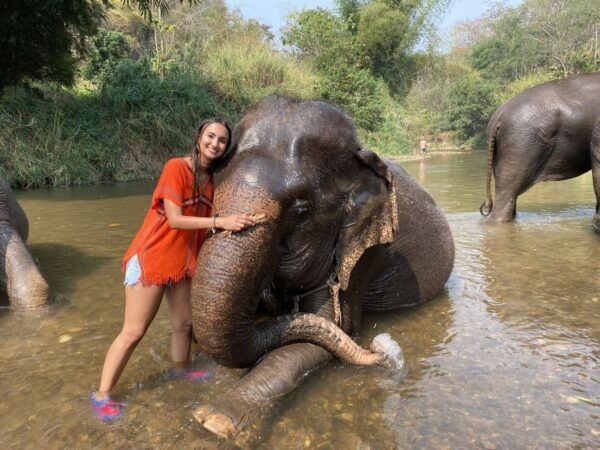 Chiang Mai: Elephant Sanctuary and Sticky Waterfall Tour - Common Questions