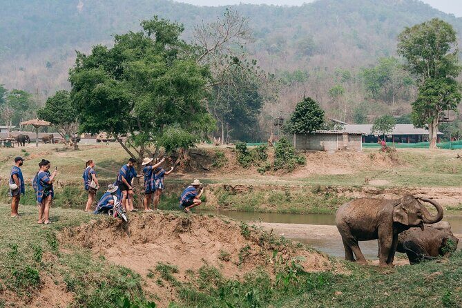 Chiang Mai Elephant Sanctuary, Bamboo Rafting and Waterfall Tour - Who Should Book This Tour?