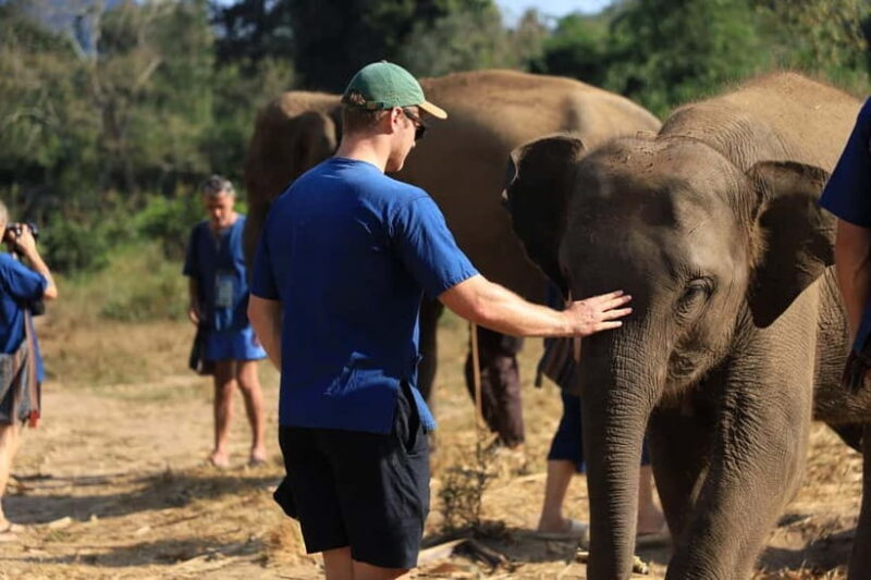 Chiang Mai: Elephant Sanctuary & Bamboo Rafting - Introduction to the Experience  