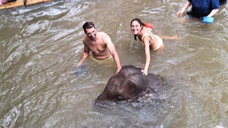 Chiang Mai: Elephant Sanctuary Interactive Tour - Experience