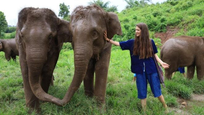 Chiang Mai: Elephant Sanctuary Interactive Tour - Duration of Activity