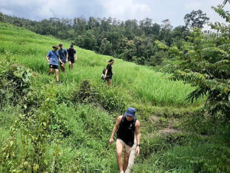 Chiang Mai: Elephant Sanctuary & Jungle Trek W/ Waterfall - Itinerary Highlights