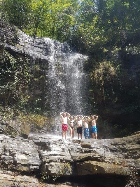 Chiang Mai: Elephant Sanctuary & Jungle Trek W/ Waterfall - Elephant Care Sanctuary