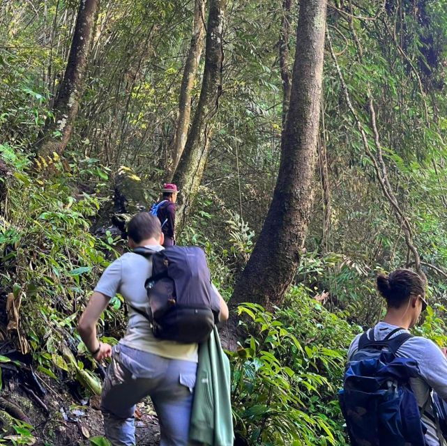 Chiang Mai: Elephant Sanctuary & Jungle Trek W/ Waterfall - Jungle Trek and Waterfall