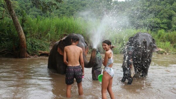 Chiang Mai: Elephant Sanctuary & Jungle Trek W/ Waterfall - Live Tour Guide