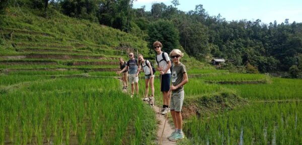 Chiang Mai: Elephant Sanctuary & Jungle Trek W/ Waterfall - Hotel Pickup and Drop-off