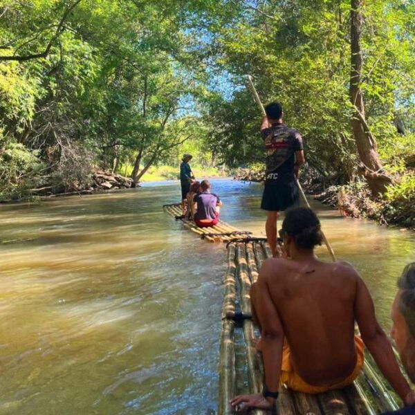 Chiang Mai: Elephant Sanctuary & Jungle Trek W/ Waterfall - Common Questions