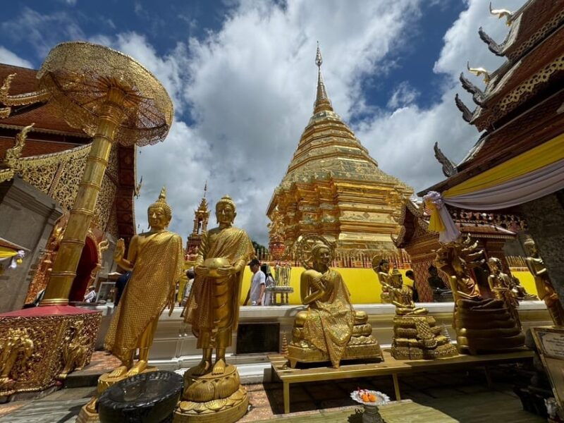 Chiang Mai: Elephant Sanctuary, Monk Trail & Doi Suthep Tour - Itinerary Highlights