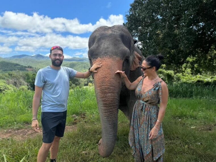 Chiang Mai: Elephant Sanctuary, Monk Trail & Doi Suthep Tour - Pon Elephant Thailand