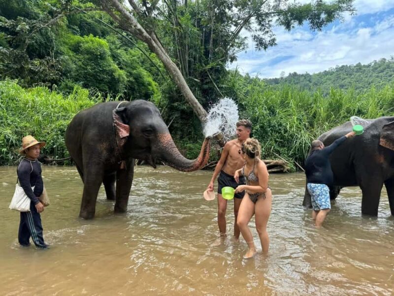 Chiang Mai: Elephant Sanctuary & Pha Chor Canyon - Practical Details and Tips