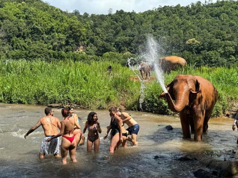 Chiang Mai: Elephant Sanctuary & Pha Chor Canyon - Good To Know