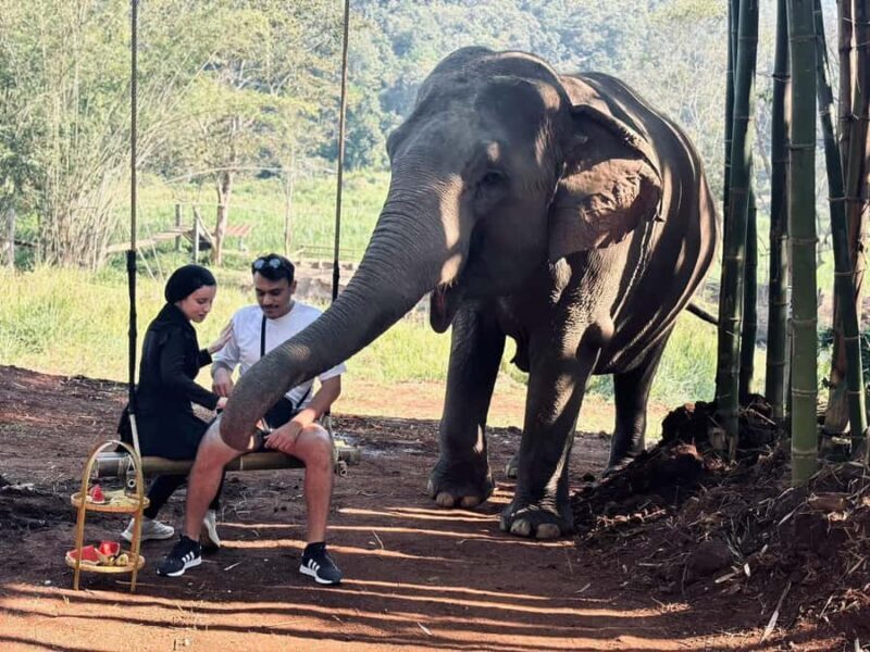 Chiang Mai: Elephant Sanctuary & Pha Chor Canyon - The Sum Up