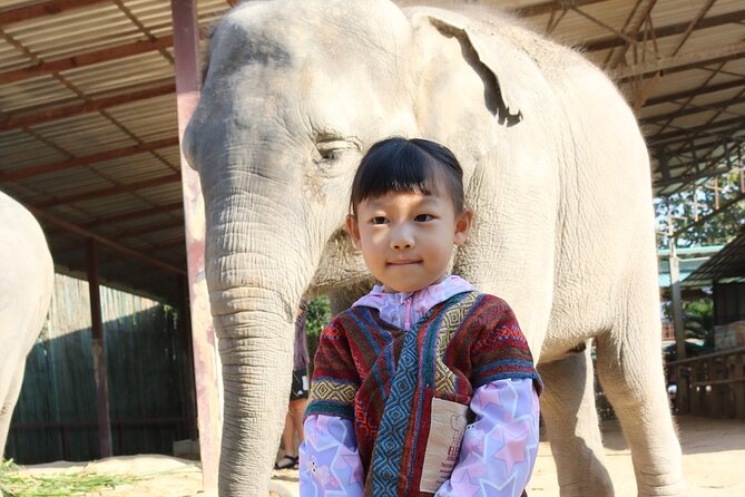 Chiang Mai Elephant Sanctuary Small Group Ethical Tour - Pricing and Reservation
