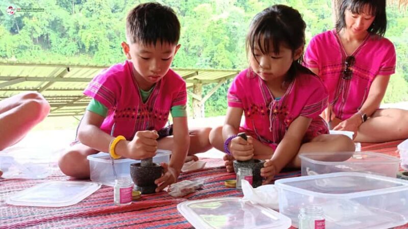 Chiang Mai: Elephant Sanctuary & Suthep Temple Sunrise View - The Sum Up