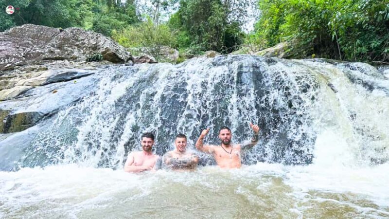 Chiang Mai: Elephant Sanctuary & Suthep Temple Sunrise View - Exploring the Itinerary in Detail