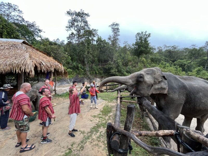 Chiang Mai: Elephant Sanctuary & Waterfall Group Tour - Itinerary Highlights