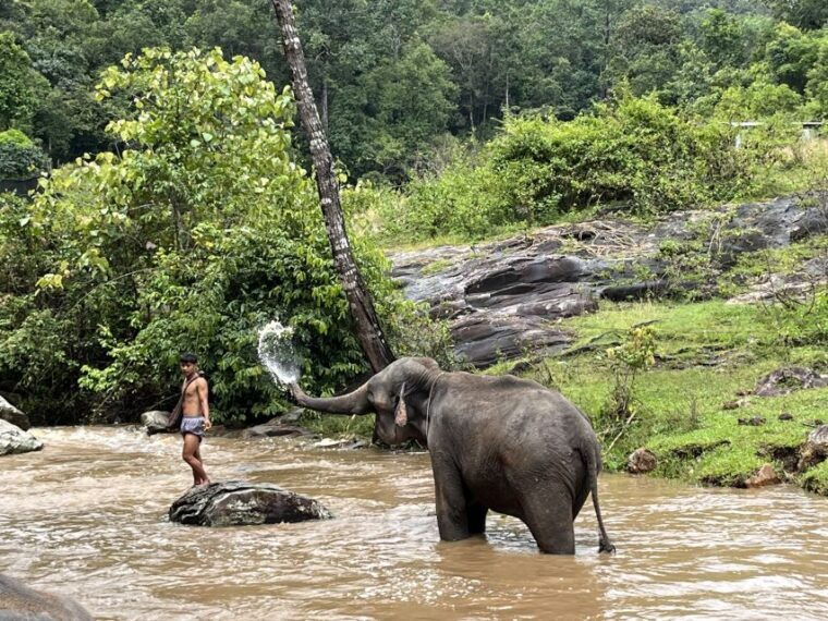 Chiang Mai: Elephant Sanctuary & Waterfall Group Tour - Inclusions and Exclusions