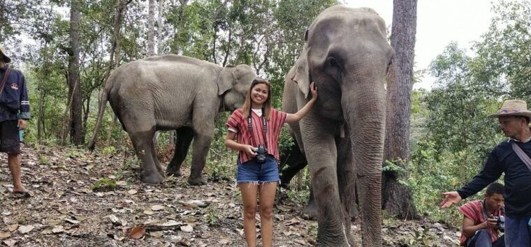 Chiang Mai: Elephant Sanctuary & Waterfall Group Tour - Customer Feedback and Ratings