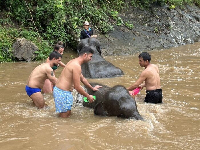 Chiang Mai: Elephant Sanctuary & Waterfall Group Tour - Benefits of the Group Tour Experience