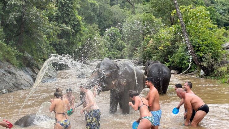 Chiang Mai: Elephant Sanctuary & Waterfall Group Tour - Experience Highlights
