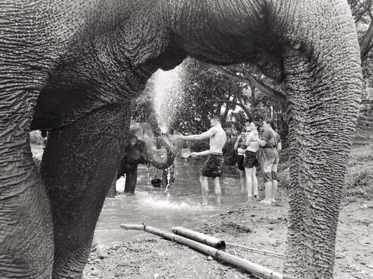 Chiang Mai: Elephant Tour, ATV, Rafting, Waterfall - Key Points