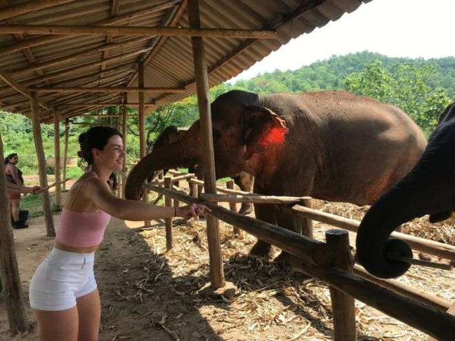Chiang Mai: Elephant Tour, ATV, Rafting, Waterfall - Important Information and Restrictions