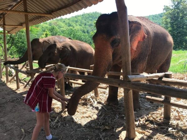 Chiang Mai: Elephant Tour, ATV, Rafting, Waterfall - Booking Process and Payment