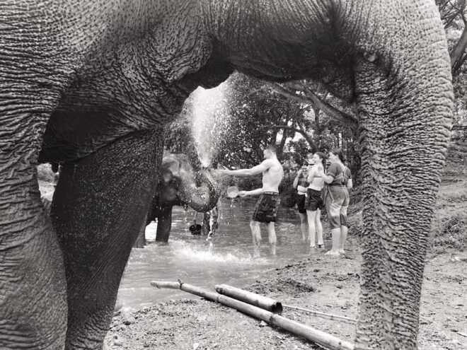 Chiang Mai: Elephant Tour, Ziplining, Rafting, Waterfall - Included Services and Amenities
