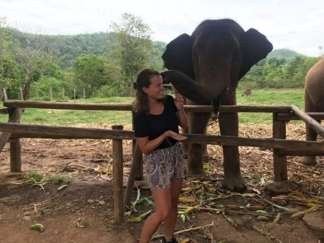 Chiang Mai: Elephant Tour, Ziplining, Rafting, Waterfall - Important Information and Restrictions