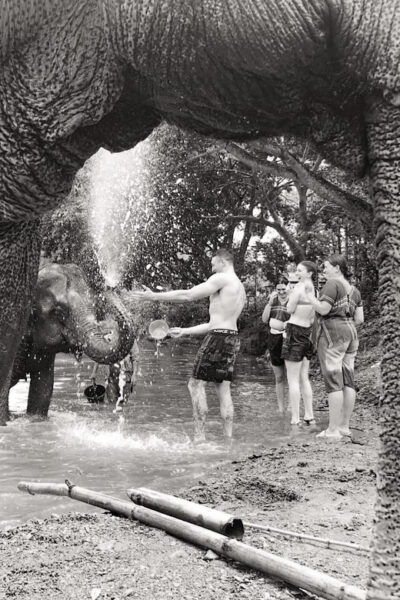 Chiang Mai: Elephant Tour, Ziplining, Rafting, Waterfall - Questions You May Have