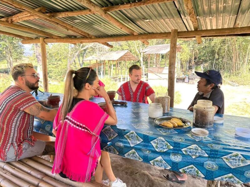 Chiang Mai Elephant Village Life: Long Neck & Bamboo Rafting - Authentic, Ethical, and Scenic: Who Is This Tour For?
