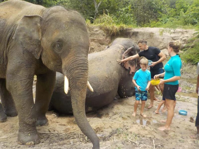 Chiang Mai Elephant Village Life: Long Neck & Bamboo Rafting - Summary of the Experience