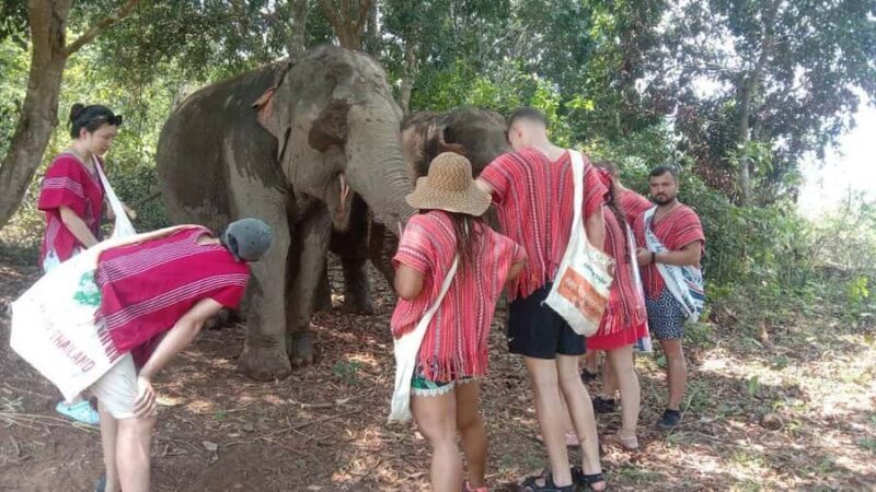 Chiang Mai Elephant Village Life: Long Neck & Bamboo Rafting - Why This Tour Works Well