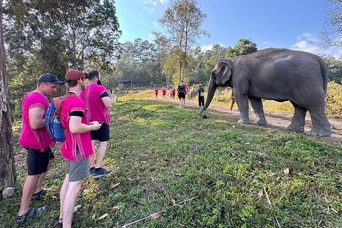 Chiang Mai Elephant Watch and Wang River Rafting - Introducing the Chiang Mai Elephant Watch and Wang River Rafting Tour